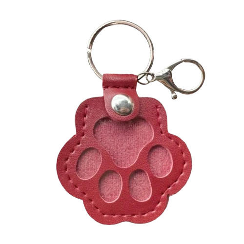 🐾 Always With You – Pet Paw Keepsake Keychain
