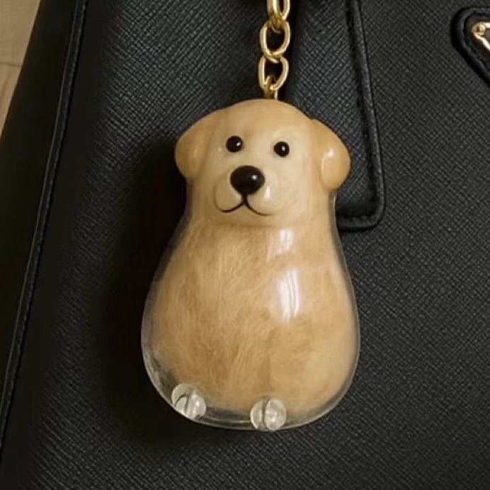 Pet Hair Storage Bottle Keychain for Collecting Dogs Hair Best🐾