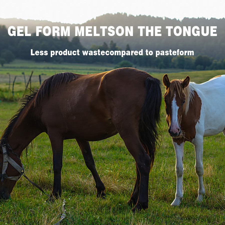 Ivermectin Horse Paste 1.87% – Apple Flavored