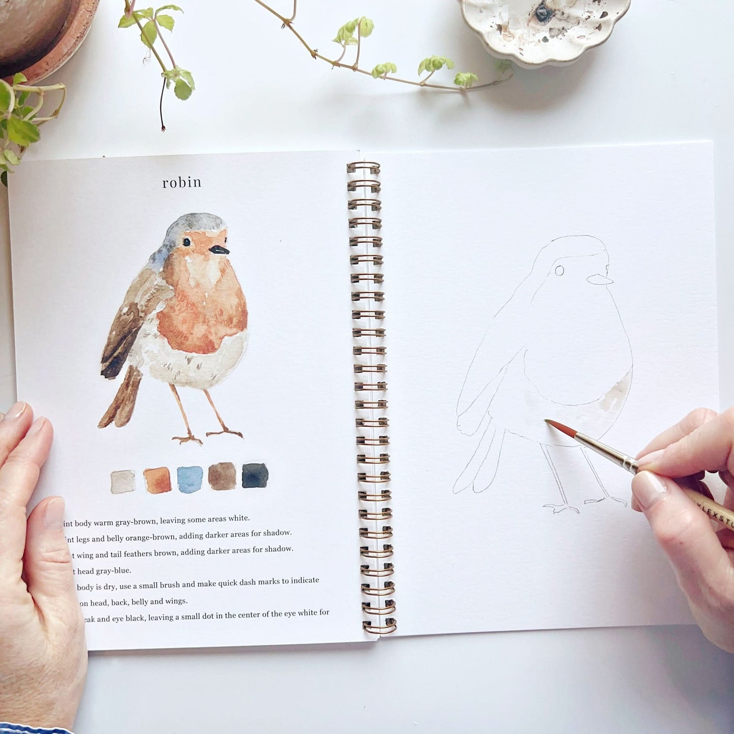 🎨 Birds Watercolor Workbook – Paint, Practice & Play
