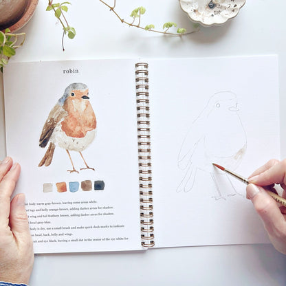 🎨 Birds Watercolor Workbook – Paint, Practice & Play