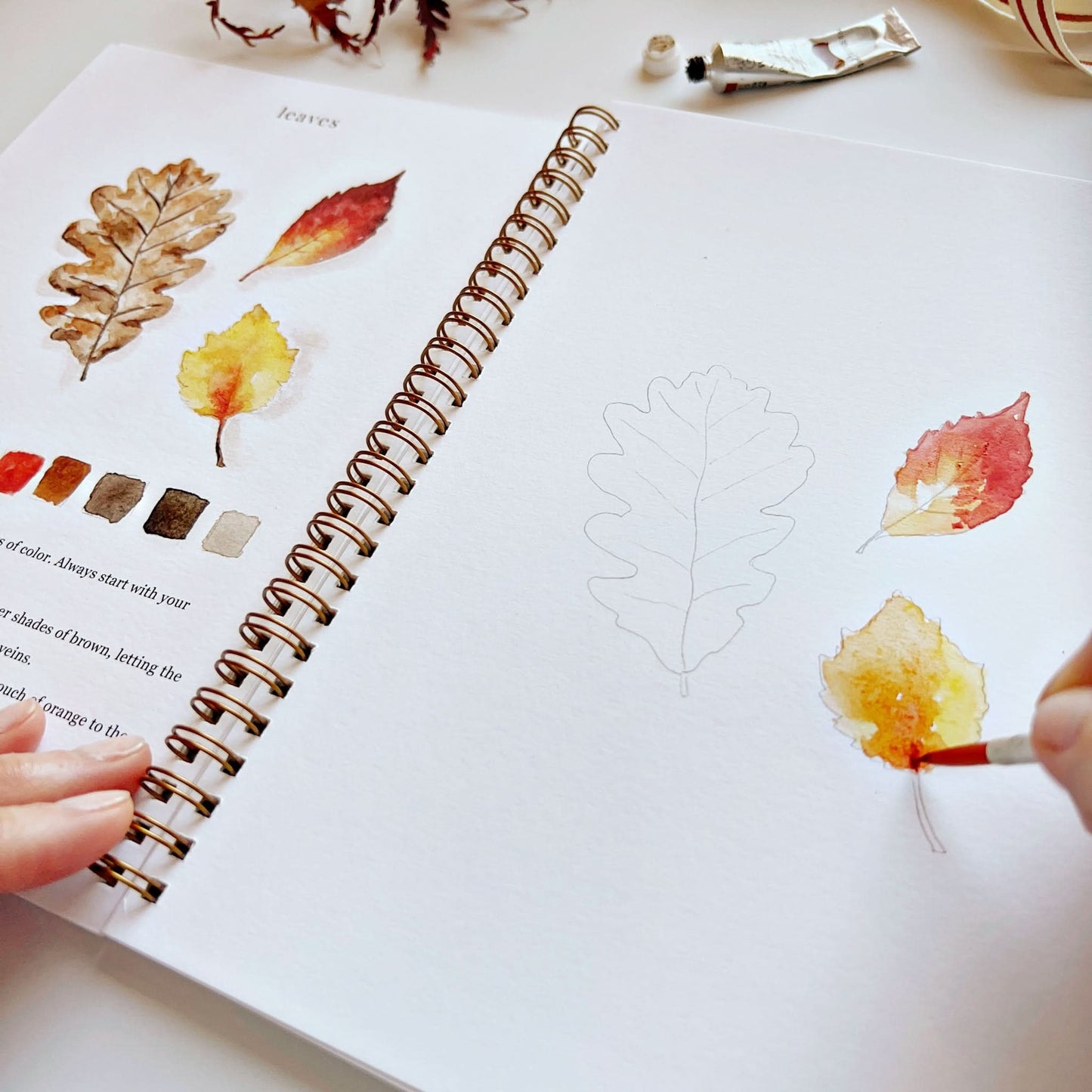 🎨 Autumn Watercolor Workbook – Paint, Practice & Play