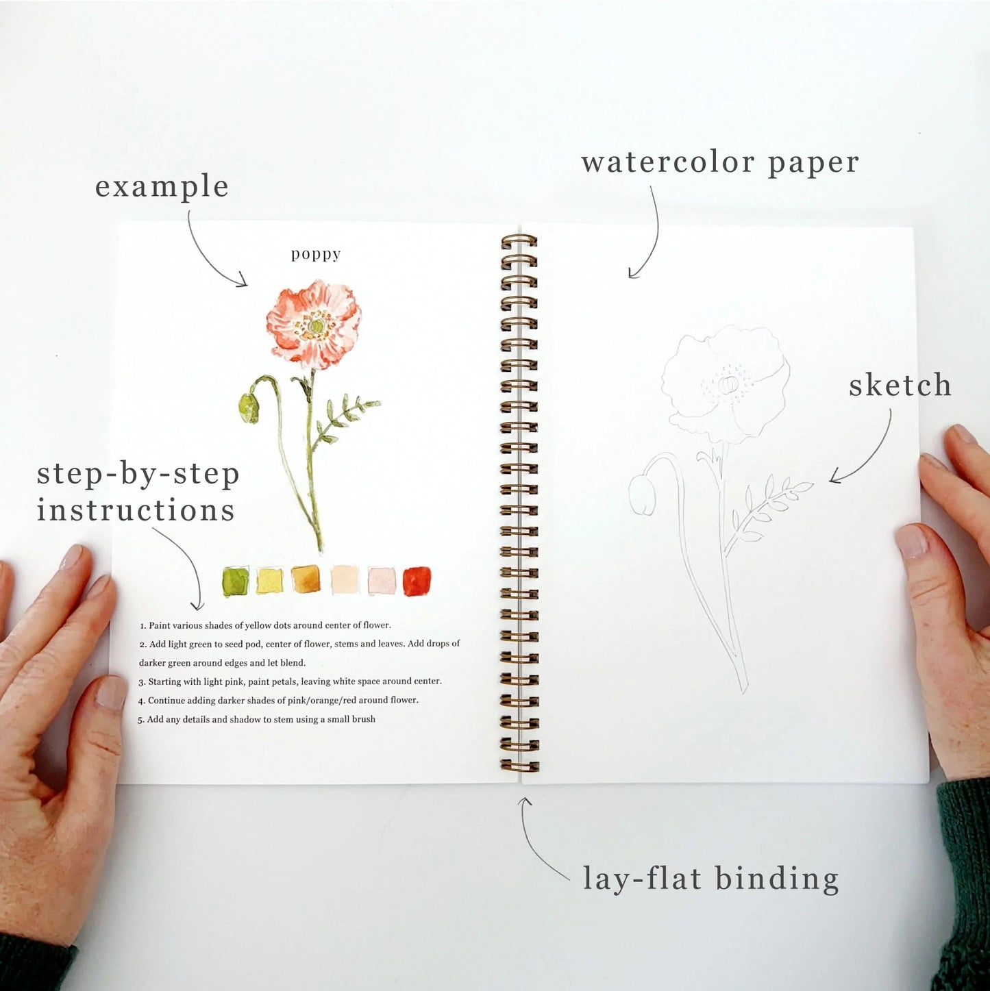 🎨 Flowers Watercolor Workbook – Paint, Practice & Play