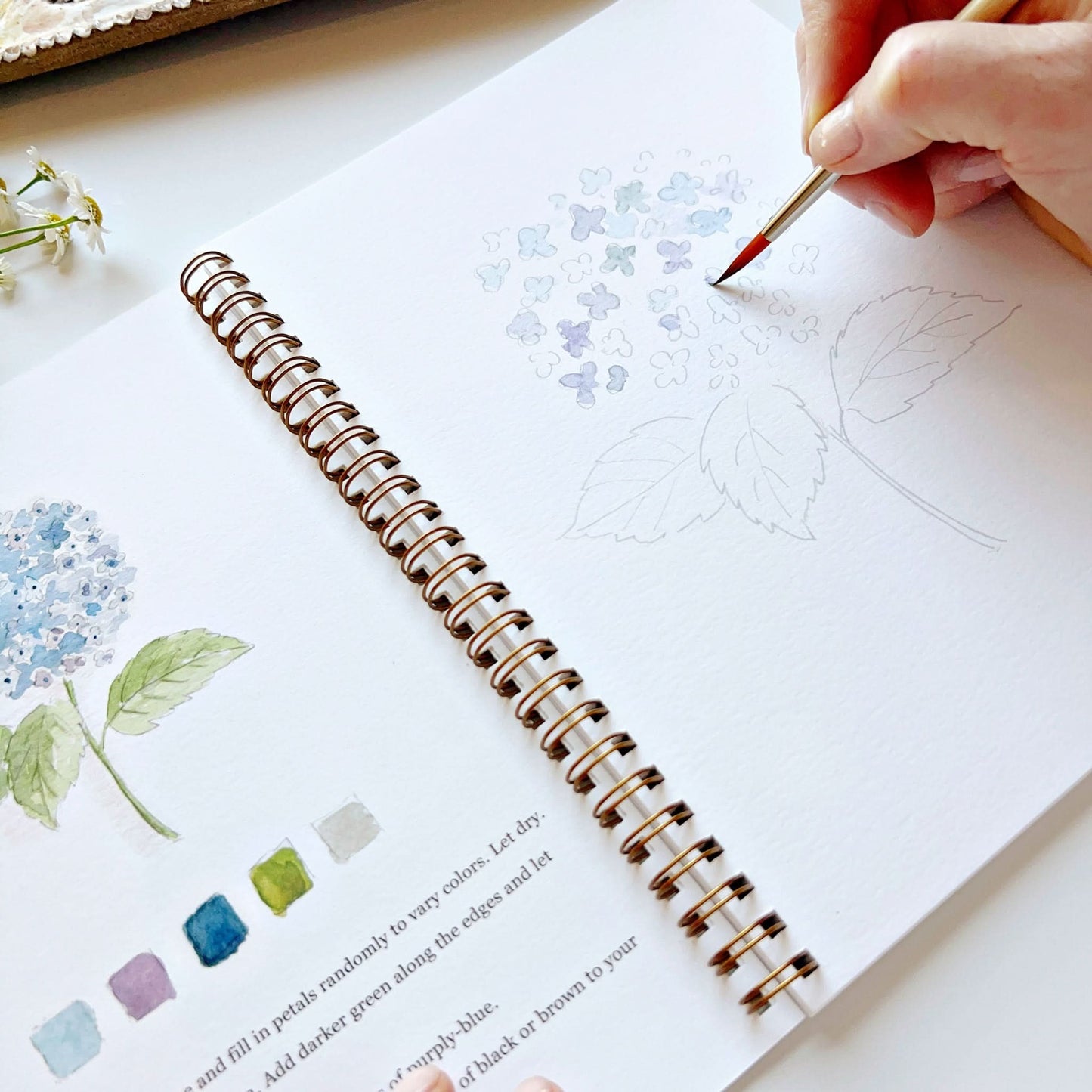 🎨 Flowers Watercolor Workbook – Paint, Practice & Play