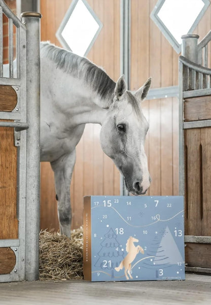 Horsebrands Horses Advent Calendar 2024