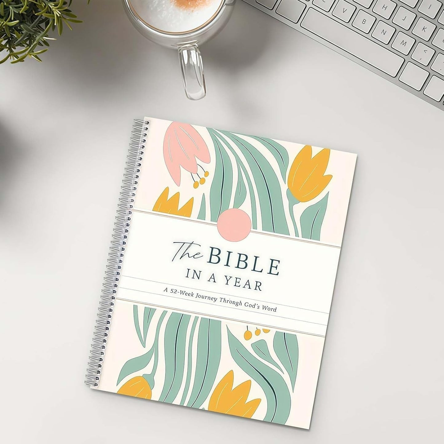 📅 The Bible In A Year: A 52-Week Study