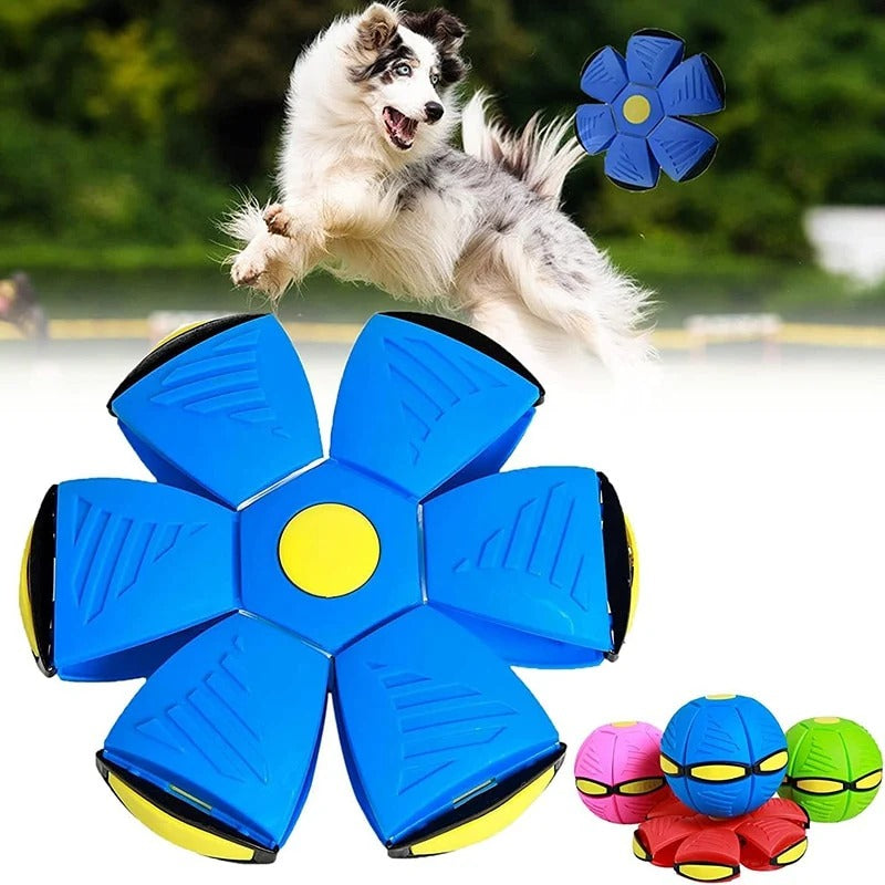 Flying Saucer Ball – Throw, Catch, and Watch the Magic Happen!
