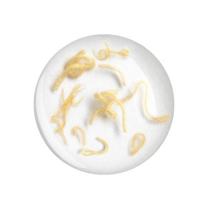 🔥Korean Deep Collagen Silk Peptide Ampoule | Deep Hydration | Youth-Restoring Results