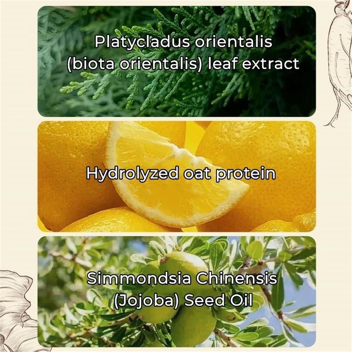 Anti-Hair Fall Hair Loss Treatment Shampoo (2 PCS)