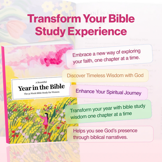 A Beautiful Year in the Bible 📖✨